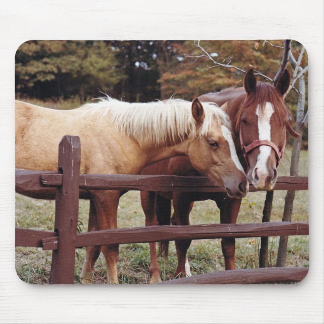 Best Friends Mouse Mat (Front)