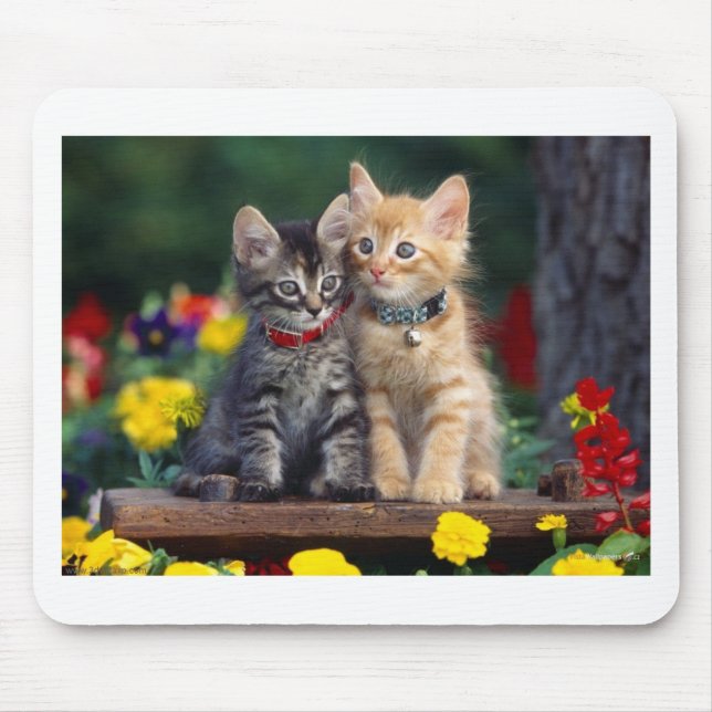 Best Friends Mouse Mat (Front)