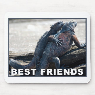 Best Friends Mouse Pad