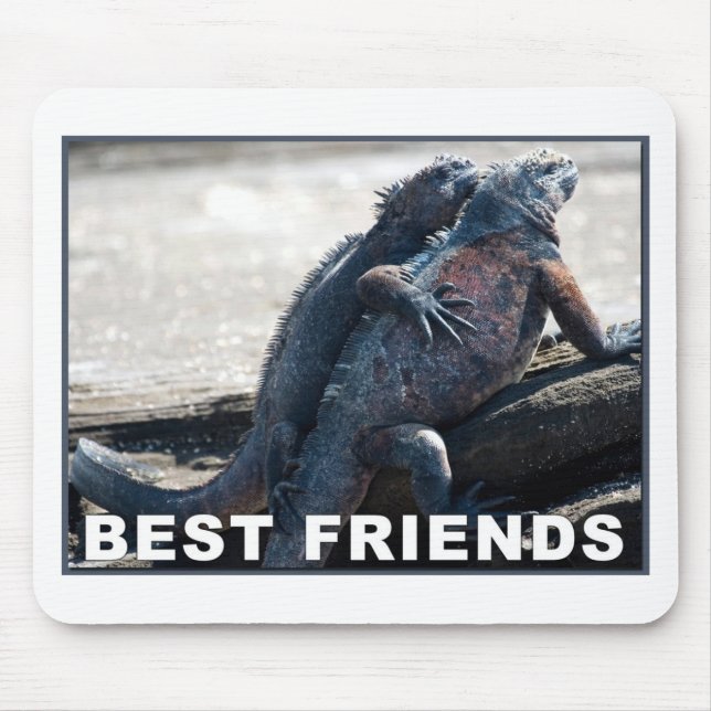 Best Friends Mouse Pad (Front)