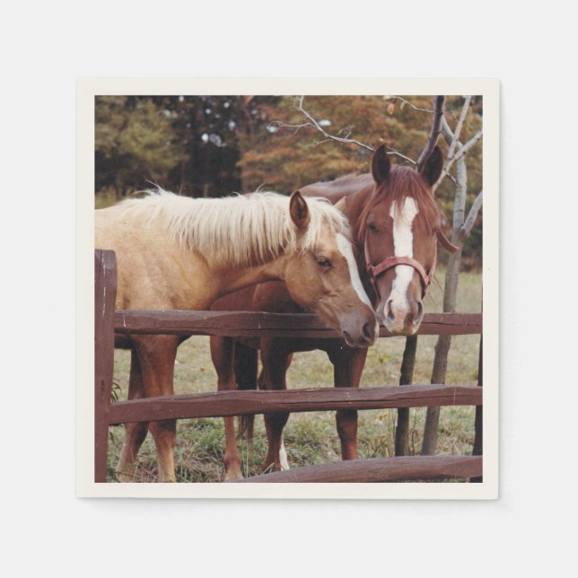 Best Friends Napkin (Front)