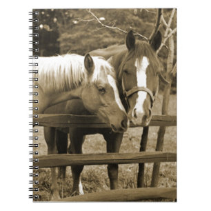 Best Friends Notebook