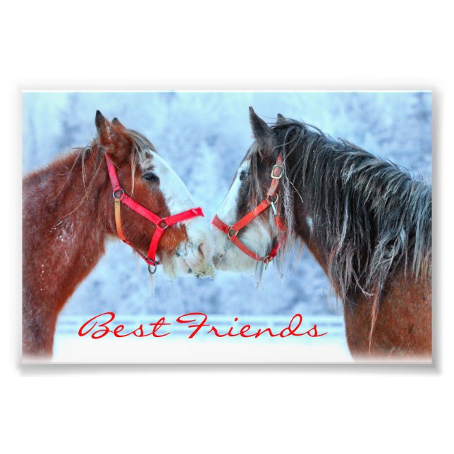 Best Friends Photo Print (Front)