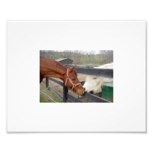 Best Friends Photo Print