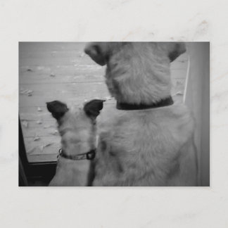 Best Friends Postcard