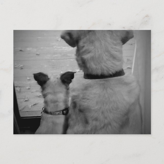 Best Friends Postcard (Front)