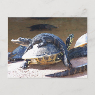 Best Friends Postcard