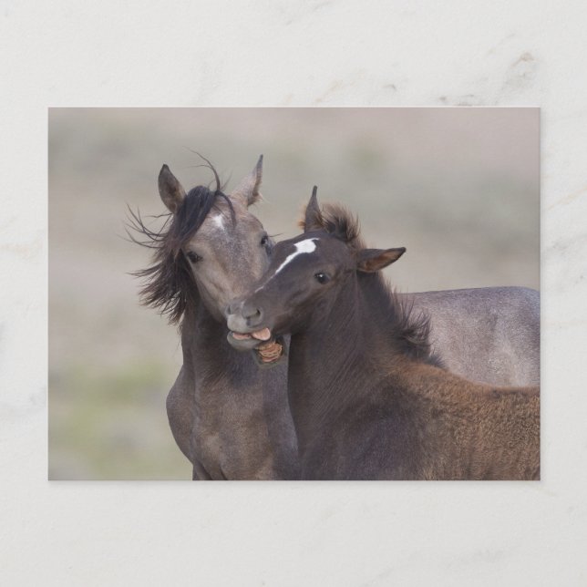Best Friends Postcard (Front)