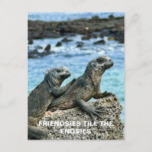 Best Friends Postcard