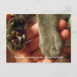 Best friends postcard