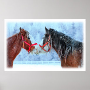 Best Friends Poster
