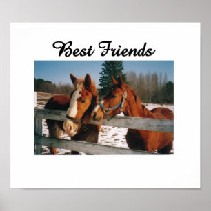 Best Friends Poster