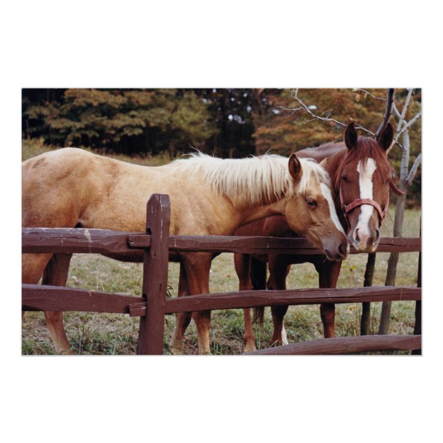 Best Friends Poster (Front)