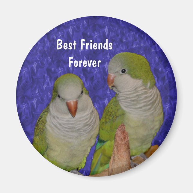 Best Friends Quaker Parrots Cute Magnet (Front)