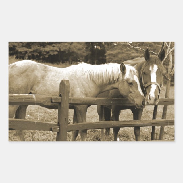 Best Friends Rectangular Sticker (Front)