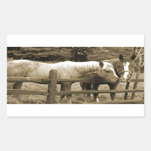 Best Friends Rectangular Sticker