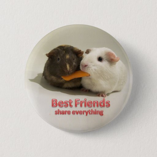 Image of Best Friends share everything 6 Cm Round Badge
