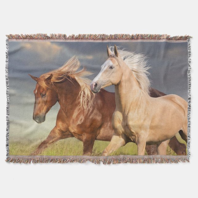 Best Friends Sherpa Blanket (Front)