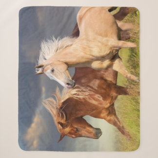 Best Friends Sherpa Blanket