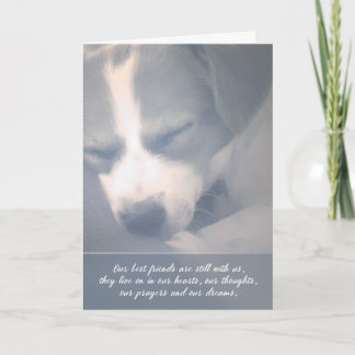 Best Friends Still With Us Dog Sympathy Card
