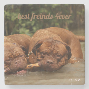 Best Friends Stone Coaster