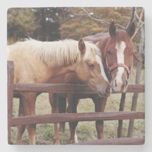 Best Friends Stone Coaster