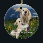 Best Friends Two Dogs in Field of Flowers BFFs Ceramic Tree Decoration<br><div class="desc">This custom holiday ornament has a photo of two cute dogs, one big white retriever (Buddy) and one small Shih Tzu (Benji) romping in a field of flowers. They really are Best Friends Forever (BFFs)! Sample has same photo and text on front and back - however you can use different...</div>