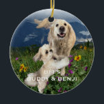 Best Friends Two Dogs in Field of Flowers BFFs Ceramic Tree Decoration<br><div class="desc">This custom holiday ornament has a photo of two cute dogs, one big white retriever (Buddy) and one small Shih Tzu (Benji) romping in a field of flowers. They really are Best Friends Forever (BFFs)! Sample has same photo and text on front and back - however you can use different...</div>