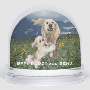 Best Friends Two Dogs in Field of Flowers BFFs Snowglobe
