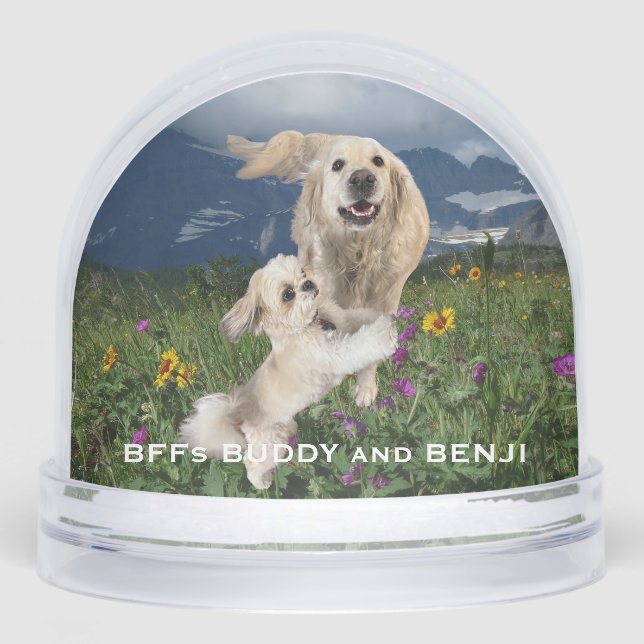 Best Friends Two Dogs in Field of Flowers BFFs Snowglobe (Front)