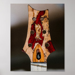 Best Guitarist Ever Poster