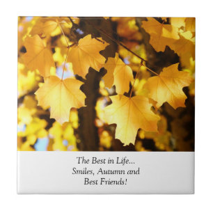 Best in Life... Smiles Autumn Best Friends Tiles