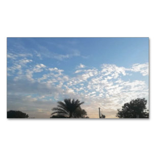 Best Magnetic Profile Card