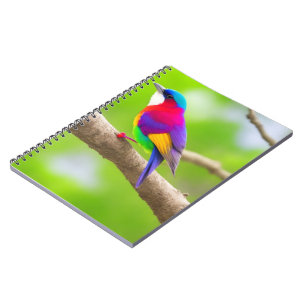 Best Notebook Selection: Where Style Meets