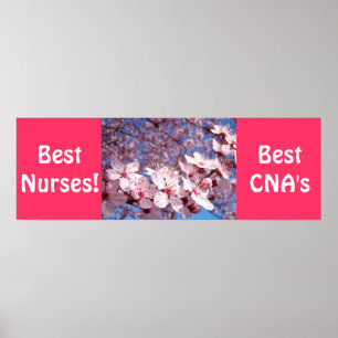 Best Nurses posters Best CNA's prints Nursing