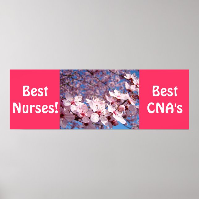 Best Nurses posters Best CNA's prints Nursing (Front)