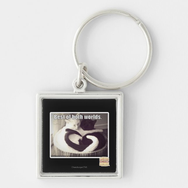 Best of both worlds. key ring (Front)