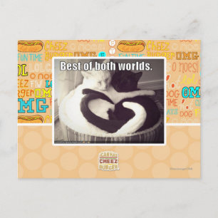 Best of both worlds. postcard