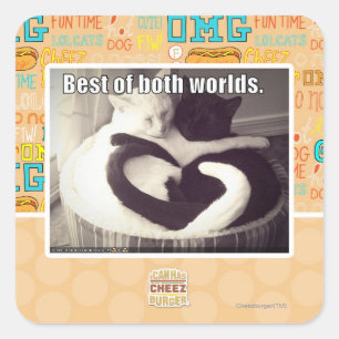 Best of both worlds. square sticker