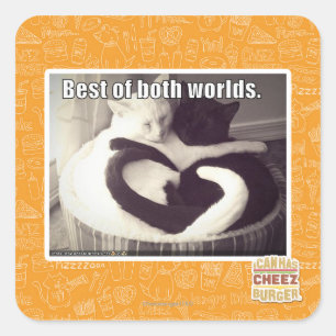 Best of both worlds. square sticker