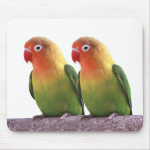 Best-of-Breed "Fischer's Lovebird" Mouse Mat
