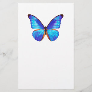 Best-of-Breed "Morpho" Stationery