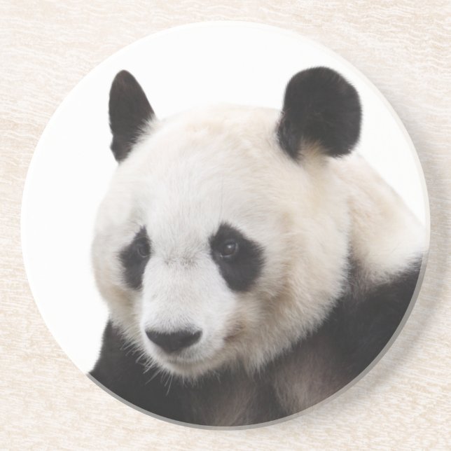 Best-of-Breed "Panda" Coaster (Front)