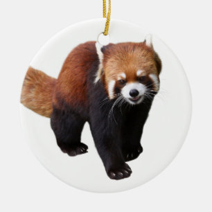 Best-of-Breed "Red Panda" Ceramic Tree Decoration