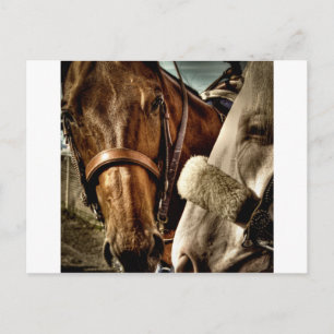 Best of Friends Postcard