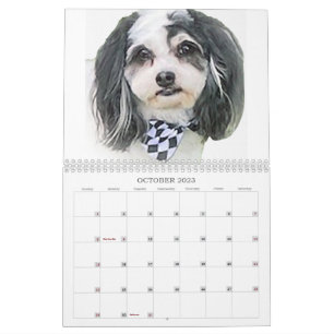 Best of K-Cee Cute Zuchon Dog 2023-2024 Calendar