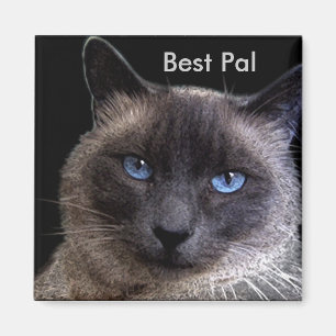 "BEST PAL" Siamese Cat Magnet