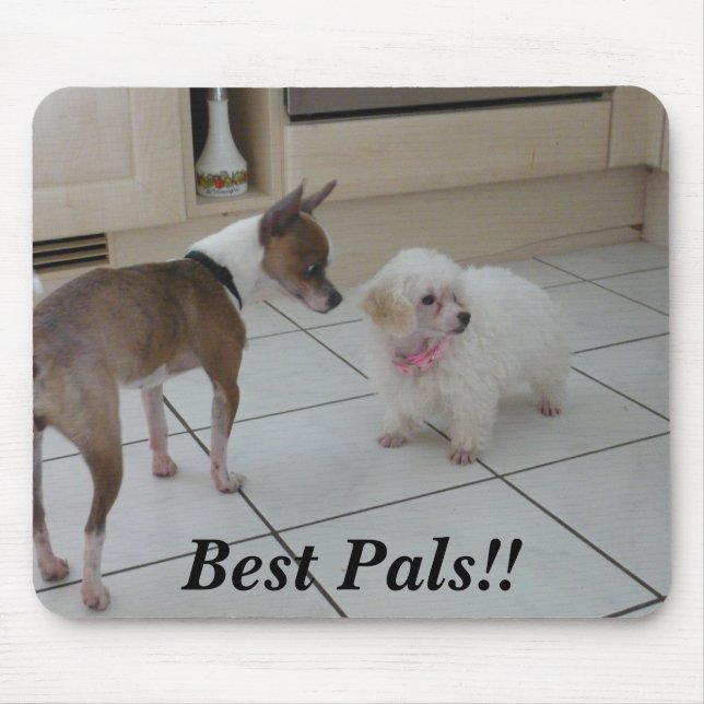 Best Pals!! Mouse Mat (Front)