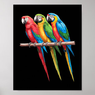 Best Parrot Art For Men Women Kids Tropical Parrot Poster