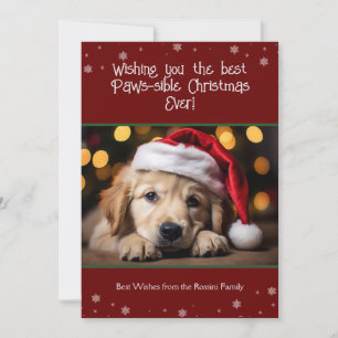 Best Paws-sible Christmas Ever Dog Photo Holiday Card